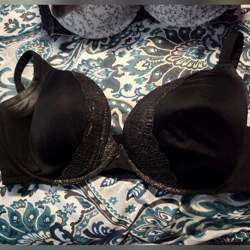 Lane Bryant bras size 44DD
